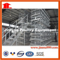 Automatic Poultry Feeding Equipment for Broiler and Chicken
